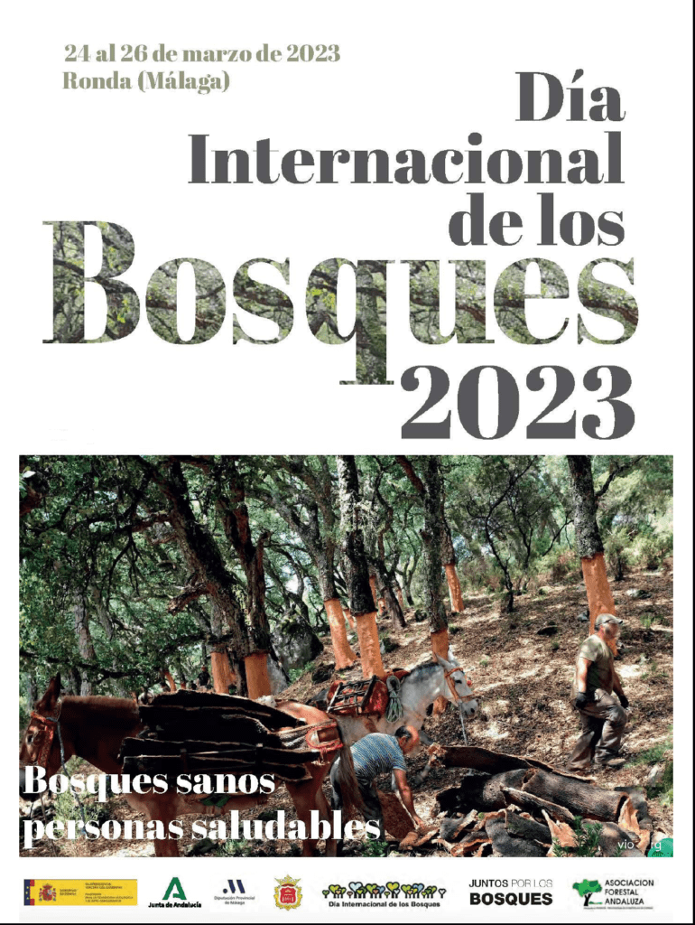 Día Internacional De Los Bosques 2023 Información Turística De Ronda 8602